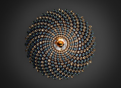 Phylo Broche 2.0